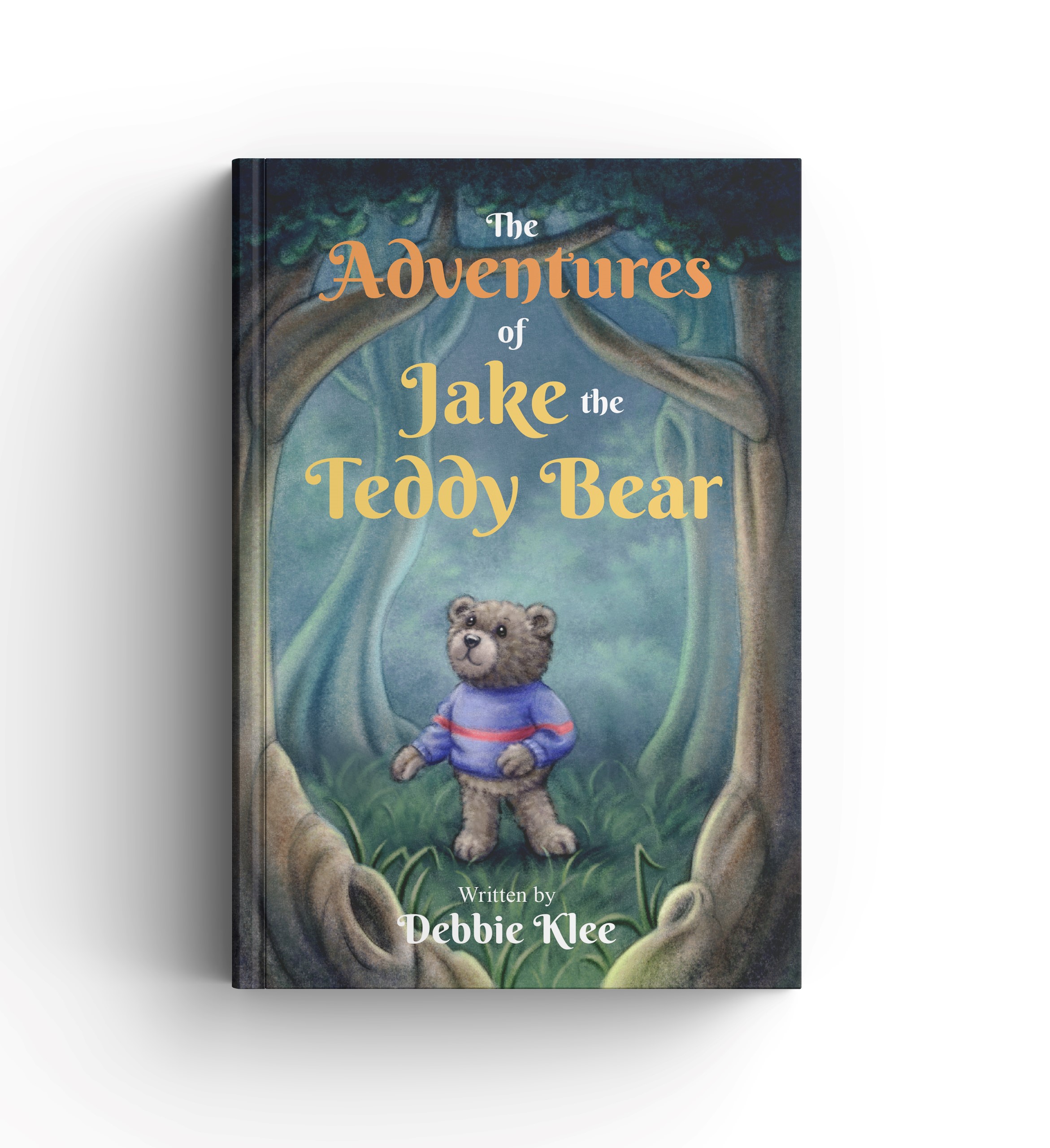 The Adventures of Jake the Teddy Bear Book Image