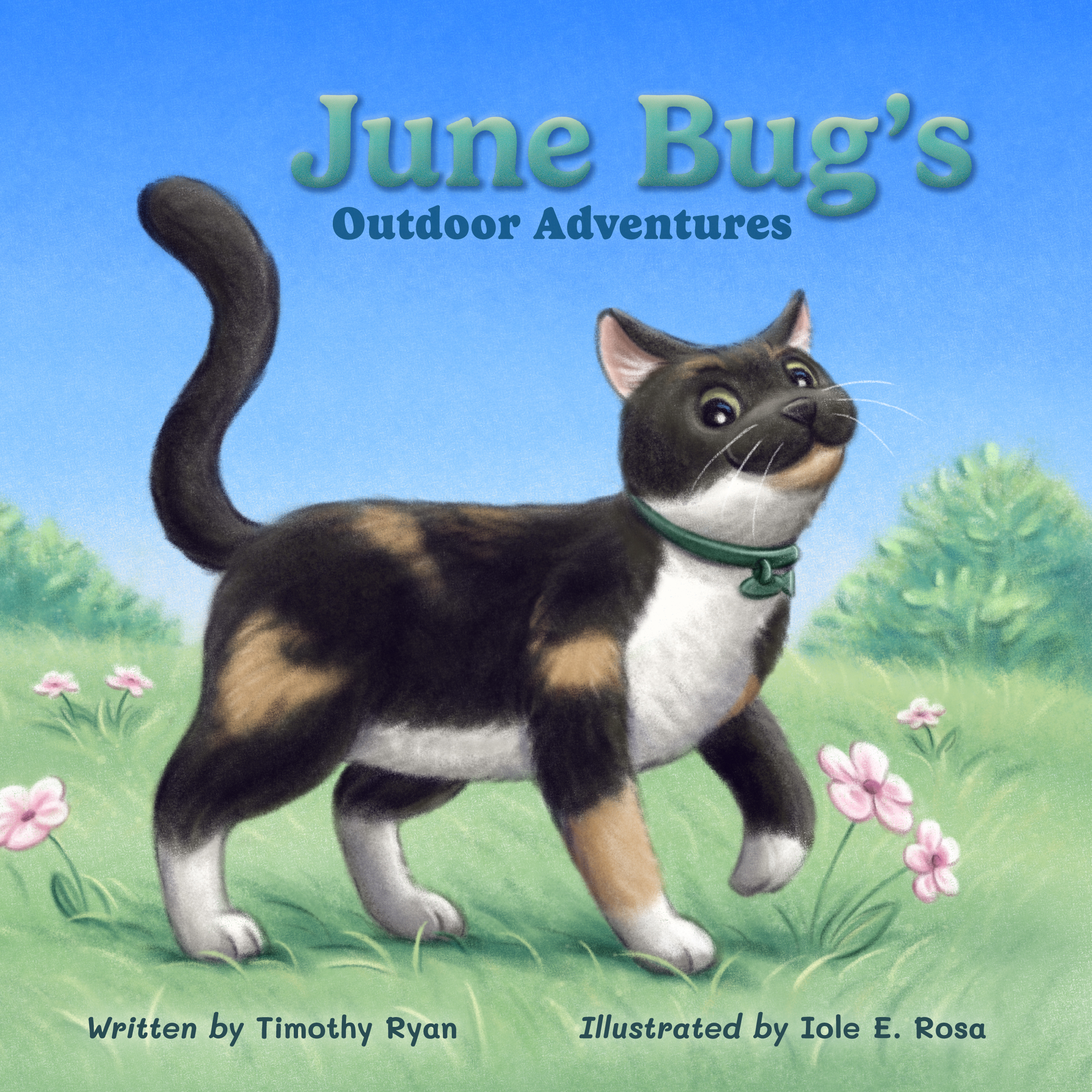 June Bug's Outdoor Adventures Book Image