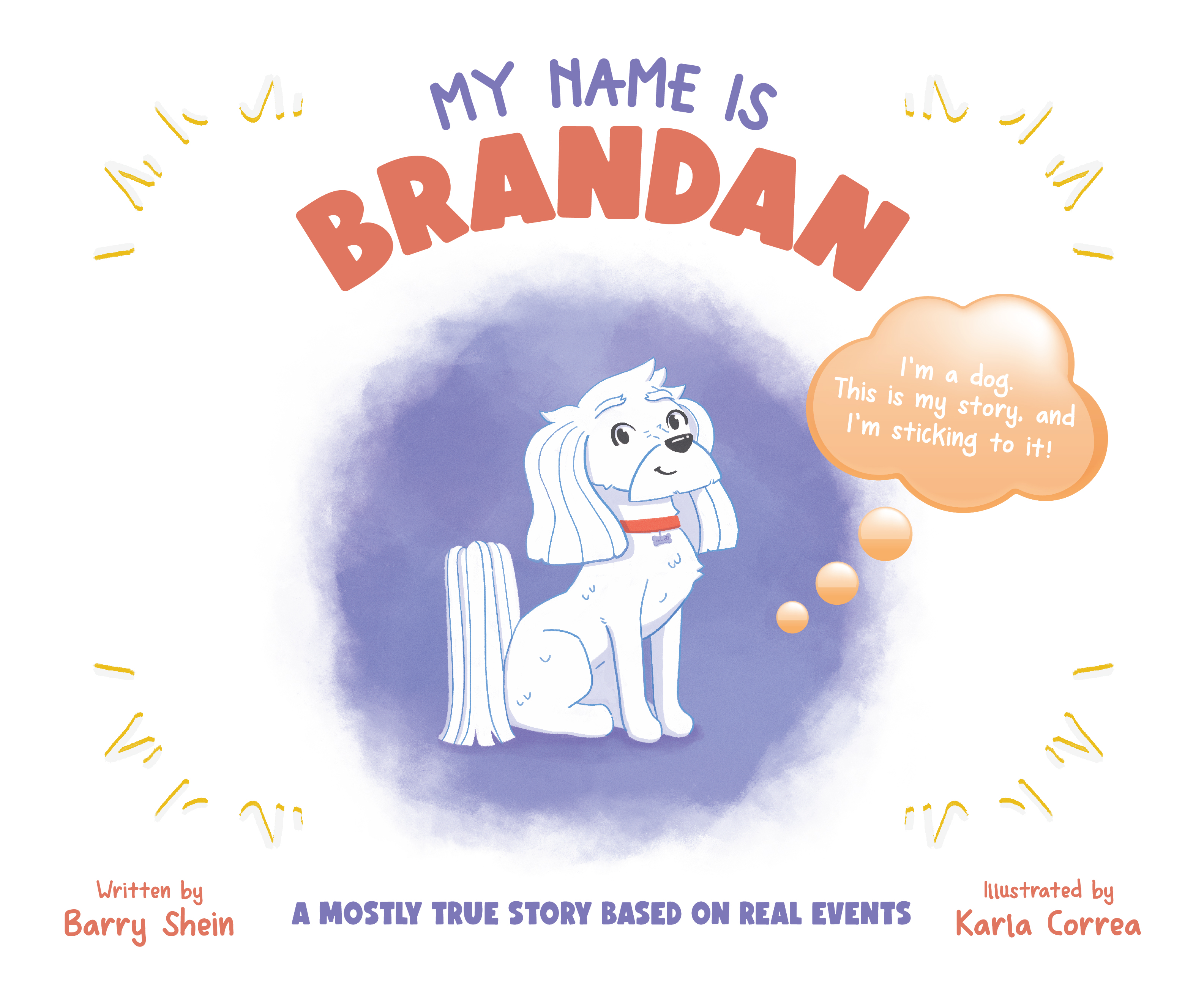 My Name Is Brandan Book Image